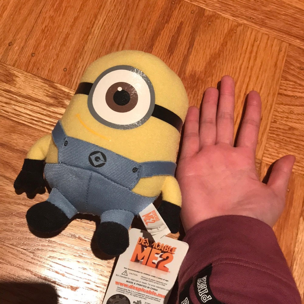 Minion - Picture 5 of 5